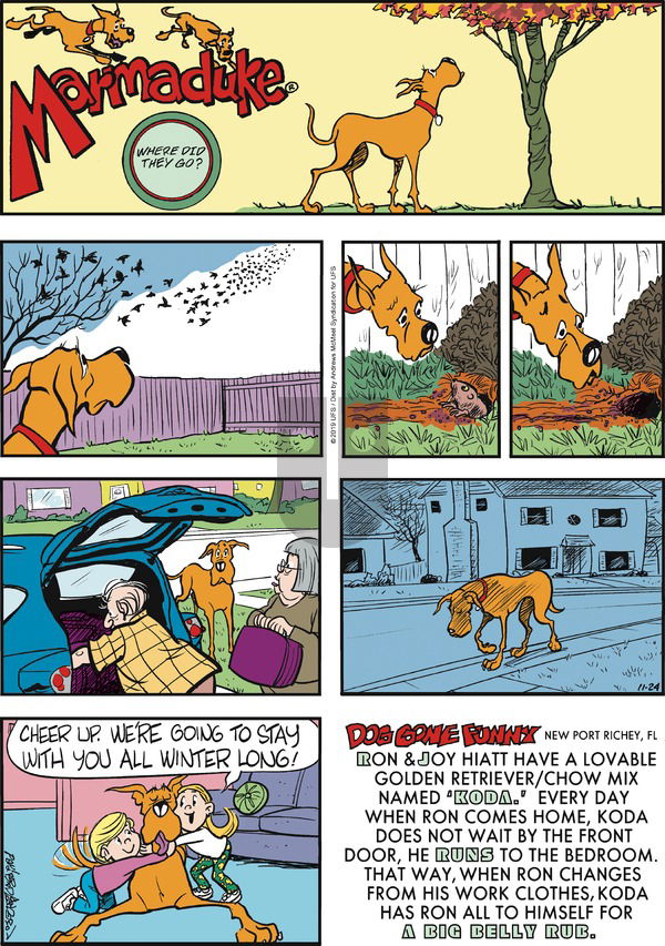 Marmaduke on Sunday November 24, 2019 Comic Strip