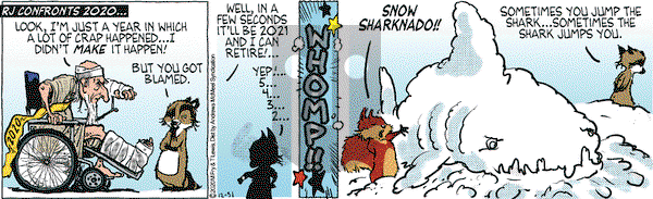 Over the Hedge on Thursday December 31, 2020 Comic Strip