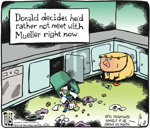 Tom Toles on Sunday May 13, 2018 Comic Strip