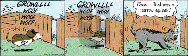 Fred Basset - Thursday June 12, 2014 Comic Strip