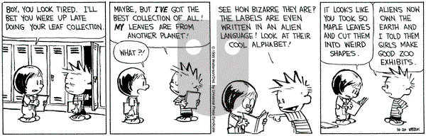 Calvin and Hobbes on Friday October 20, 1995 Comic Strip