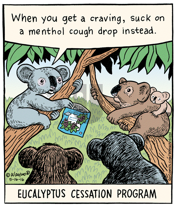 WaynoVision on Monday January 6, 2025 Comic Strip