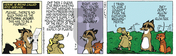 Over the Hedge on Tuesday July 10, 2007 Comic Strip