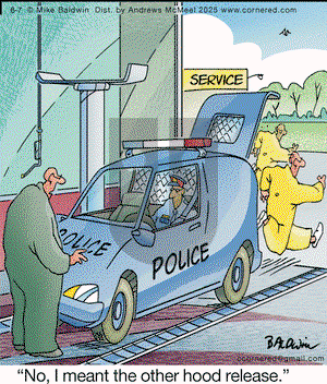 Cornered on Saturday June 7, 2025 Comic Strip