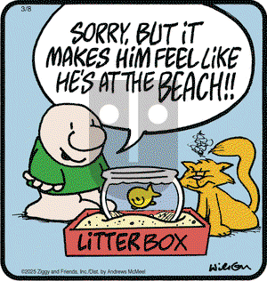 Ziggy - Saturday March 8, 2025 Comic Strip