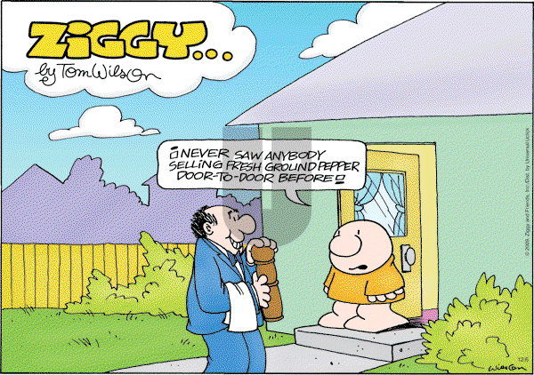 Ziggy - Sunday December 6, 2009 Comic Strip