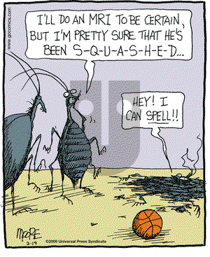In the Bleachers on Thursday February 19, 2009 Comic Strip
