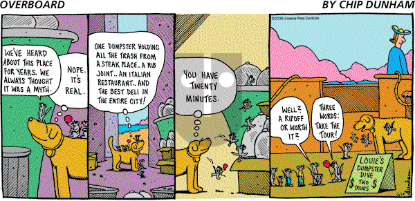Overboard - Sunday June 14, 2009 Comic Strip