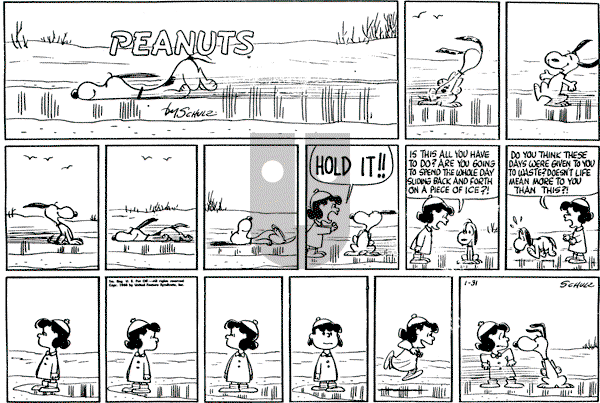 Peanuts - Sunday January 31, 1960 Comic Strip