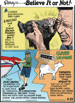 Ripley's Believe It or Not on Friday September 20, 2013 Comic Strip