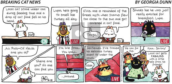 Breaking Cat News on Sunday May 17, 2020 Comic Strip