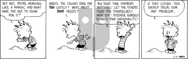 Calvin and Hobbes on Tuesday June 16, 2015 Comic Strip
