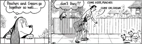 Fred Basset on Wednesday August 8, 2007 Comic Strip