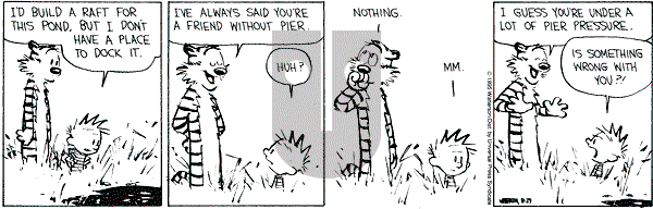 Calvin and Hobbes - Tuesday August 29, 1995 Comic Strip