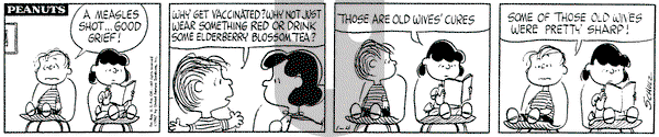 Peanuts on Wednesday January 4, 1967 Comic Strip