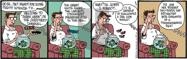 Monty - Monday June 7, 2010 Comic Strip