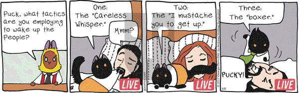 Breaking Cat News on Thursday April 6, 2017 Comic Strip