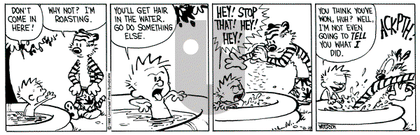 Calvin and Hobbes on Saturday August 27, 1988 Comic Strip