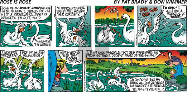 Rose is Rose on Sunday July 23, 2017 Comic Strip