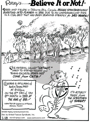 Ripley's Believe It or Not on Monday January 18, 1999 Comic Strip
