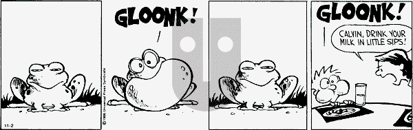 Calvin and Hobbes - Saturday November 2, 1991 Comic Strip