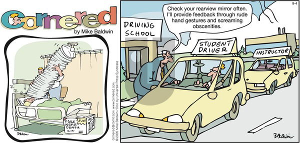 Cornered on Sunday September 4, 2005 Comic Strip