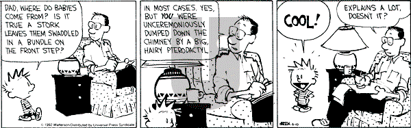 Calvin and Hobbes - Wednesday June 10, 1992 Comic Strip