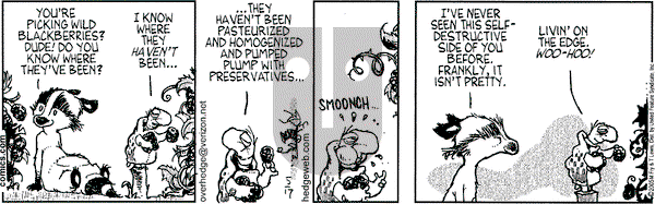 Over the Hedge on Tuesday May 17, 2005 Comic Strip