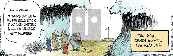 Non Sequitur on Tuesday April 25, 2017 Comic Strip