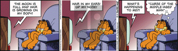 Garfield - Saturday November 2, 2013 Comic Strip