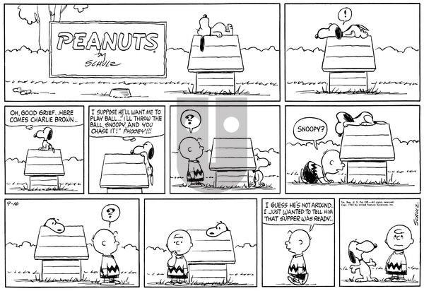 Peanuts on Sunday June 23, 1963 Comic Strip