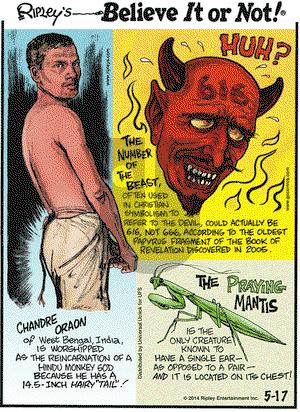Ripley's Believe It or Not on Saturday May 17, 2014 Comic Strip