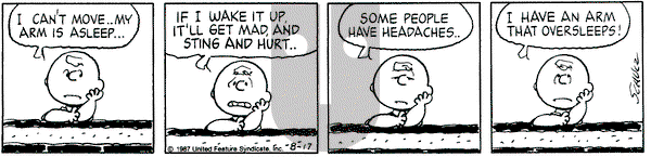 Peanuts on Monday August 17, 1987 Comic Strip