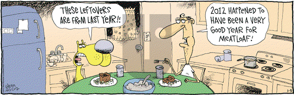 The Duplex on Saturday January 5, 2013 Comic Strip