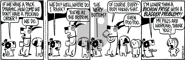 Pooch Cafe on Tuesday June 24, 2003 Comic Strip