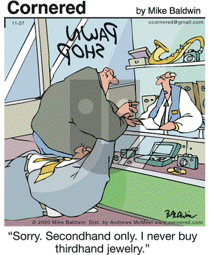 Cornered on Friday November 27, 2020 Comic Strip