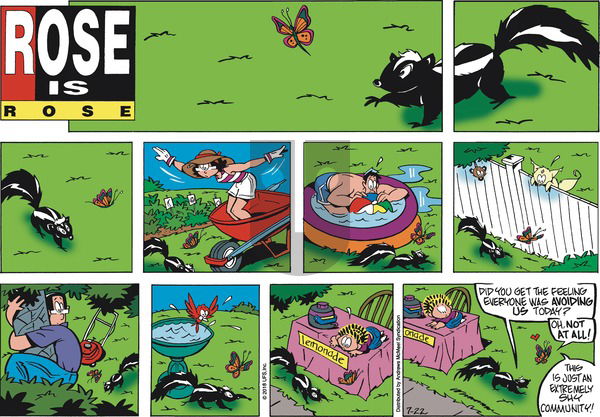 Rose is Rose on Sunday July 22, 2018 Comic Strip