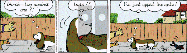 Fred Basset on Tuesday May 2, 2017 Comic Strip