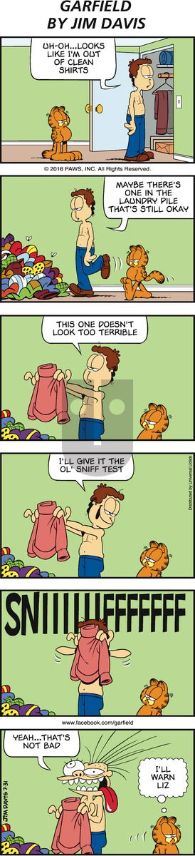 Garfield on Sunday July 31, 2016 Comic Strip