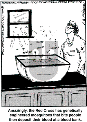 Close to Home on Tuesday August 12, 2008 Comic Strip