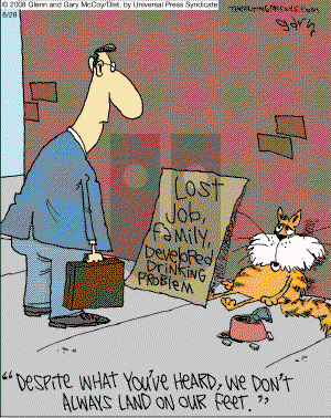 The Flying McCoys on Thursday August 28, 2008 Comic Strip