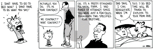 Calvin and Hobbes on Tuesday August 4, 1992 Comic Strip
