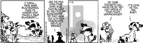 Over the Hedge on Wednesday May 18, 2005 Comic Strip