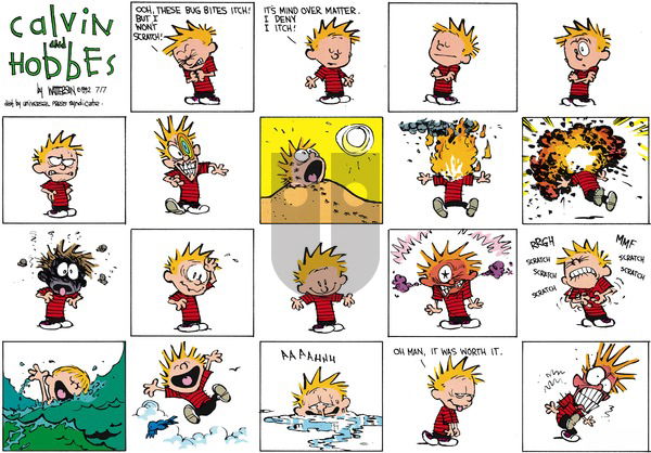 Calvin and Hobbes on Sunday August 23, 1992 Comic Strip