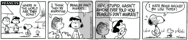 Peanuts on Tuesday November 21, 1972 Comic Strip
