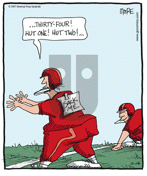 In the Bleachers on Friday November 16, 2007 Comic Strip