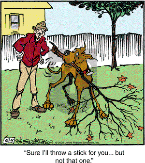Marmaduke on Friday October 9, 2009 Comic Strip