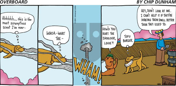 Overboard on Sunday October 24, 2010 Comic Strip