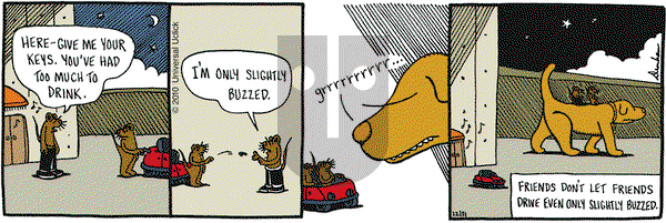 Overboard on Friday December 31, 2010 Comic Strip