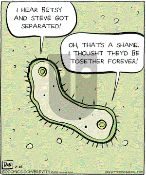 Brevity on Wednesday February 18, 2015 Comic Strip